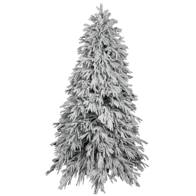 Snow covered Christmas tree 014