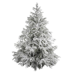 Snow covered Christmas tree 018